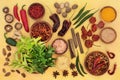 Herb and Spice Assortment Abstract Background Royalty Free Stock Photo