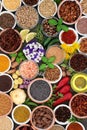 Herb Spice and Edible Flower Selection Royalty Free Stock Photo