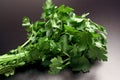 Vegetables/Spice: fresh green parsley Royalty Free Stock Photo