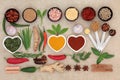 Herb and Spice Sampler Royalty Free Stock Photo