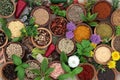 Herb and Spice Sampler Royalty Free Stock Photo