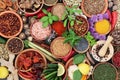 Herb and Spice Seasoning Assortment Royalty Free Stock Photo