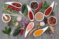 Herb and Spice Seasoning Royalty Free Stock Photo