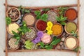 Herb and Spice Seasoning Royalty Free Stock Photo