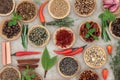 Herb and Spice Selection Royalty Free Stock Photo