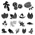 Herb and spices black icons in set collection for design.Different kinds of seasonings vector symbol stock web Royalty Free Stock Photo