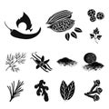 Herb and spices black icons in set collection for design.Different kinds of seasonings vector symbol stock web Royalty Free Stock Photo