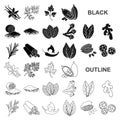 Herb and spices black icons in set collection for design.Different kinds of seasonings vector symbol stock web Royalty Free Stock Photo