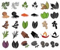 Herb and spices cartoon,black icons in set collection for design.Different kinds of seasonings vector symbol stock web Royalty Free Stock Photo