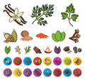 Herb and spices cartoon,flat icons in set collection for design.Different kinds of seasonings vector symbol stock web Royalty Free Stock Photo