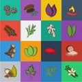 Herb and spices cartoon icons in set collection for design.Different kinds of seasonings vector symbol stock web Royalty Free Stock Photo