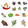 Herb and spices cartoon icons in set collection for design.Different kinds of seasonings vector symbol stock web Royalty Free Stock Photo