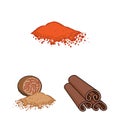 Herb and spices cartoon icons in set collection for design.Different kinds of seasonings vector symbol stock web Royalty Free Stock Photo