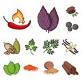 Herb and spices cartoon icons in set collection for design.Different kinds of seasonings vector symbol stock web Royalty Free Stock Photo