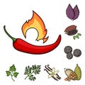 Herb and spices cartoon icons in set collection for design.Different kinds of seasonings vector symbol stock web Royalty Free Stock Photo