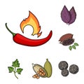 Herb and spices cartoon icons in set collection for design.Different kinds of seasonings vector symbol stock web Royalty Free Stock Photo