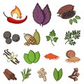 Herb and spices cartoon icons in set collection for design.Different kinds of seasonings vector symbol stock web Royalty Free Stock Photo