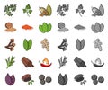 Herb and spices cartoon,mono icons in set collection for design.Different kinds of seasonings vector symbol stock web Royalty Free Stock Photo