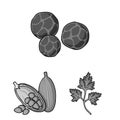 Herb and spices monochrome icons in set collection for design.Different kinds of seasonings vector symbol stock web Royalty Free Stock Photo