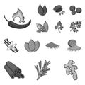 Herb and spices monochrome icons in set collection for design.Different kinds of seasonings vector symbol stock web Royalty Free Stock Photo