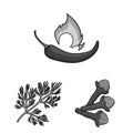 Herb and spices monochrome icons in set collection for design.Different kinds of seasonings vector symbol stock web Royalty Free Stock Photo