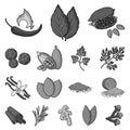 Herb and spices monochrome icons in set collection Royalty Free Stock Photo