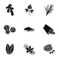 Herb and spices set icons in black style. Big collection of herb and spices vector symbol stock illustration Royalty Free Stock Photo