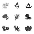 Herb and spices set icons in black style. Big collection of herb and spices vector symbol stock illustration Royalty Free Stock Photo