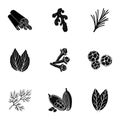 Herb and spices set icons in black style. Big collection of herb and spices vector symbol stock illustration Royalty Free Stock Photo