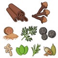 Herb and spices set icons in cartoon style. Big collection of herb and spices vector symbol stock illustration Royalty Free Stock Photo