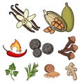 Herb and spices set icons in cartoon style. Big collection of herb and spices vector symbol stock illustration Royalty Free Stock Photo