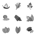 Herb and spices set icons in monochrome style. Big collection of herb and spices symbol Royalty Free Stock Photo