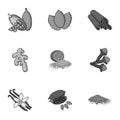 Herb and spices set icons in monochrome style. Big collection of herb and spices Royalty Free Stock Photo