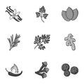 Herb and spices set icons in monochrome style. Big collection of herb and spices vector Royalty Free Stock Photo