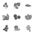 Herb and spices set icons in monochrome style. Big collection of herb and spices vector symbol stock illustration Royalty Free Stock Photo