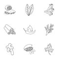 Herb and spices set icons in outline style. Big collection of herb and spices illustration Royalty Free Stock Photo