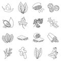 Herb and spices set icons in outline style. Big collection herb and spices vector symbol Royalty Free Stock Photo