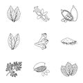 Herb and spices set icons in outline style. Big collection of herb and spices vector symbol stock illustration Royalty Free Stock Photo
