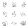 Herb and spices set icons in outline style. Big collection of herb and spices vector symbol stock illustration Royalty Free Stock Photo