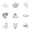 Herb and spices set icons in outline style. Big collection of herb and spices vector symbol stock illustration Royalty Free Stock Photo