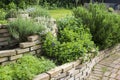 herb spiral in the garden with fresh herbs Royalty Free Stock Photo