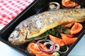 Herb-stuffed trout with tomatoes