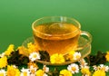 Herb tea Royalty Free Stock Photo
