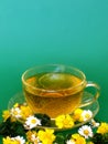 Herb tea Royalty Free Stock Photo