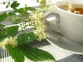 Herb tea with meadowsweet Royalty Free Stock Photo