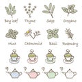 Herb, teacup and teapot icon set