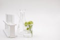 Herb white flower scientific equipment researched cosmetic Royalty Free Stock Photo