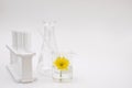 Herb yellow flower scientific equipment researched cosmetic Royalty Free Stock Photo