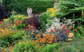 Herbaceous Border Royalty Free Stock Photo