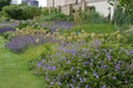 Herbaceous border with Geranium Rozanne and other blue flowers Royalty Free Stock Photo